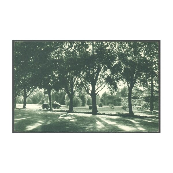 BOSQUE DE PALERMO, PARQUE 3 DE FEBRERO