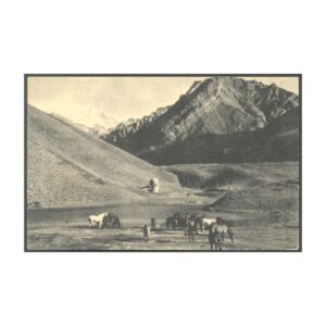 POSTAL - ACONCAGUA 8 - LAGO DE LOS HORCONES - ED.POR F.F.C.C. DEL ESTADO