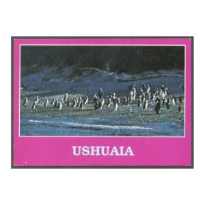POSTAL - USHUAIA 6 - PINGUINOS DE USHUAIA