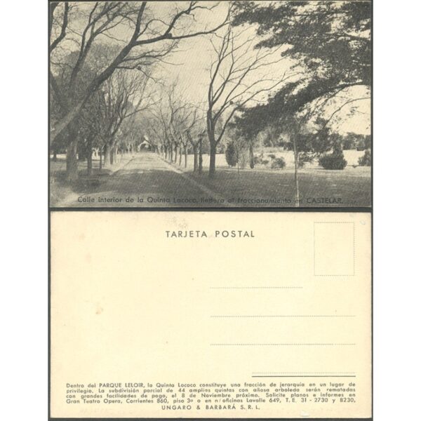 ARGENTINA/BUENOS AIRES/POSTAL - CASTELAR 1 - CASTELAR, PARQUE LELOIR, CALLE INTERNA DE LA QUINTA LOCOCO