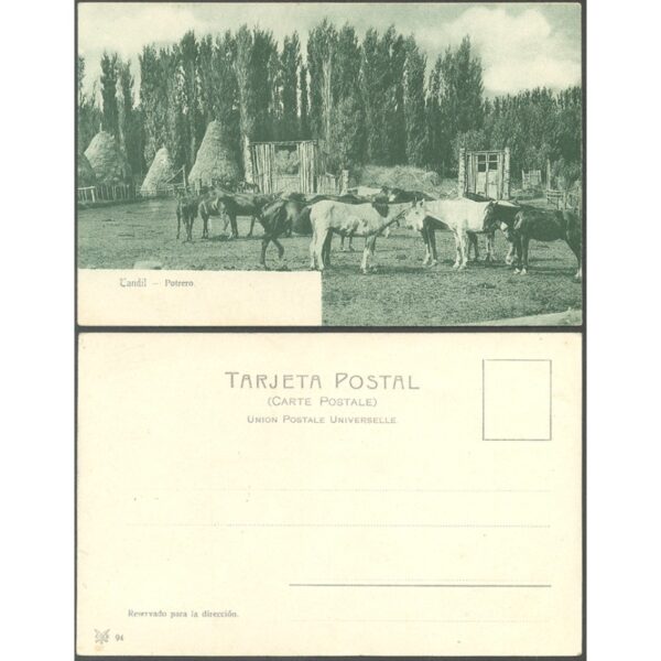 ARGENTINA/BUENOS AIRES/POSTAL - TANDIL 10 - TANDIL, POTRERO - ED. POR A.C.K. 94