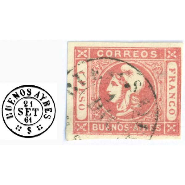 CARMINE ROSE - Image 2