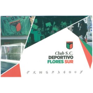 TARJETA POSTAL DEL CORREO ARGENTINO: CLUB S.C. DEPORTIVO FLORES SUR