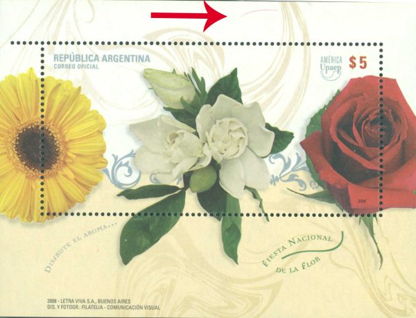 HB 191 - VARIEDAD PELO EN LA PARTE SUPERIOR - MINT