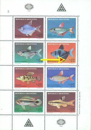HB 61 - VARIEDAD PUNTO FOSFORESCENTE - MINT