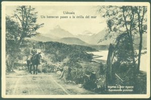 UN HERMOSO PASEO A LA ORILLA DEL MAR